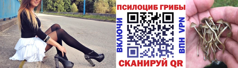 Псилоцибиновые грибы MAGIC MUSHROOMS  где найти наркотики  мега онион  Щигры 